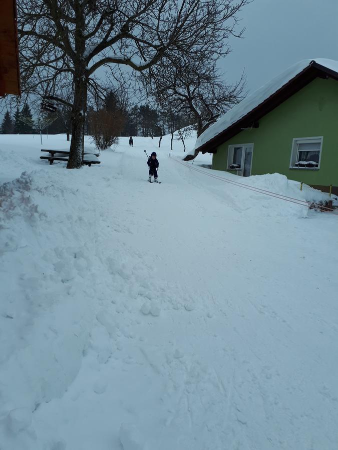 Vila Tourist Farm Znidarjevi Kozljek Exteriér fotografie