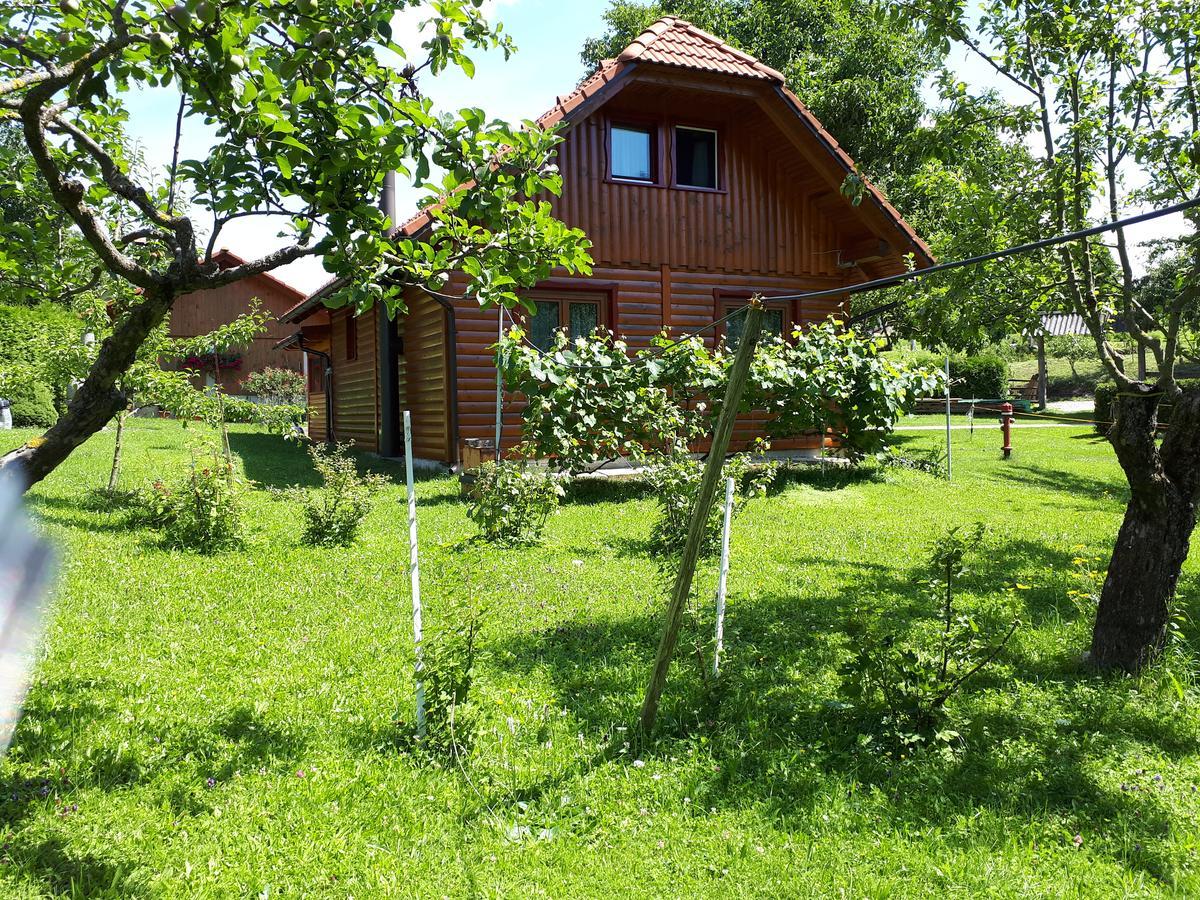 Vila Tourist Farm Znidarjevi Kozljek Exteriér fotografie