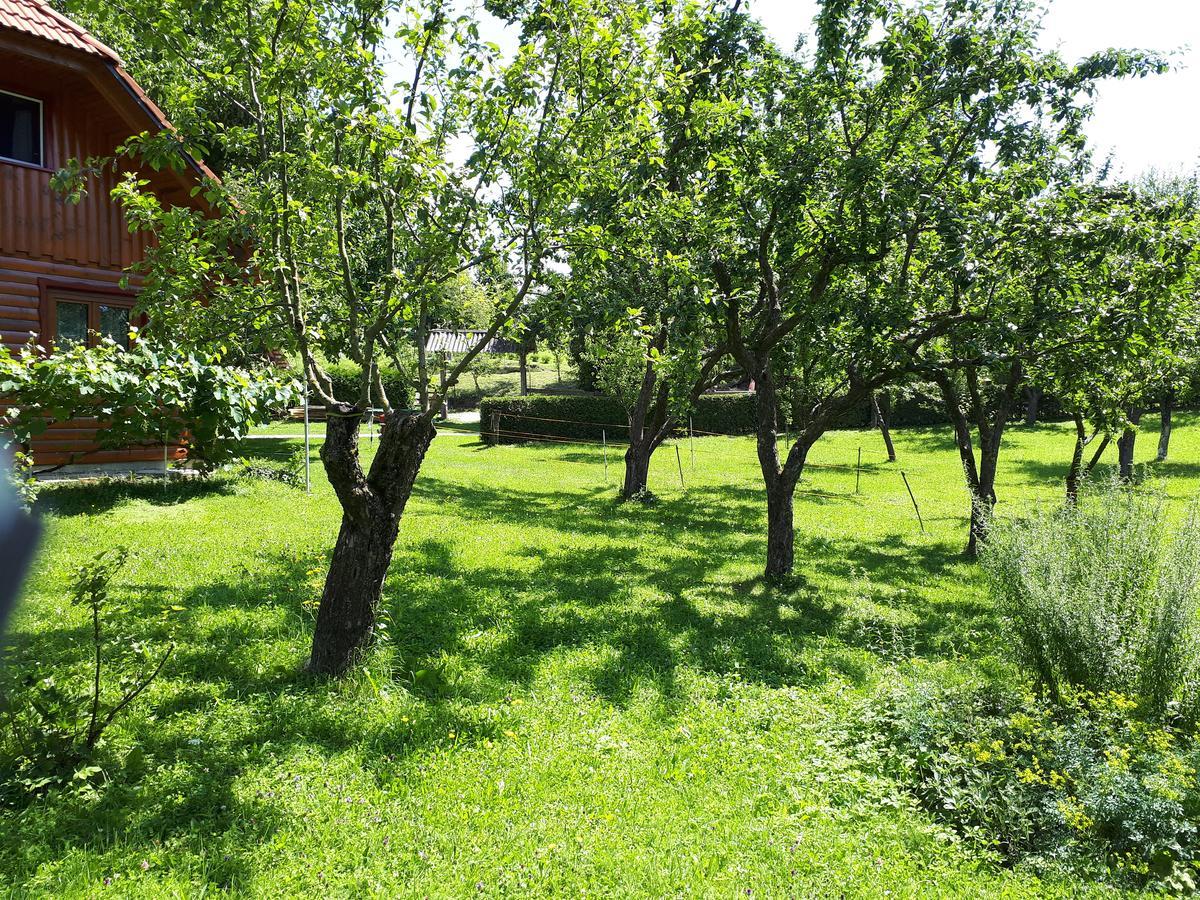 Vila Tourist Farm Znidarjevi Kozljek Exteriér fotografie